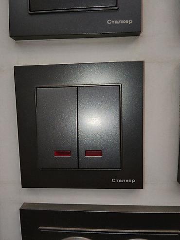 argb controller: Двухклавишный выключатель «Сталкер» с подсветкой. - Назначение — 1