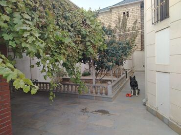 Həyət evləri və villaların satışı: 5 otaqlı, 200 kv. m, Yeni təmirli — 2
