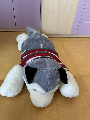oyuncaq bebe: Böyük ölçülü yumşaq oyuncaq – husky peluş oyuncağı. Husky iti olanlar — 2
