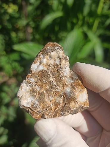 cib saatı: Milyon İllik Tarixi Fosil 💎 Daşlaşmış Ağac ( Petrified Wood ) 🪵 ✨ Bu — 1