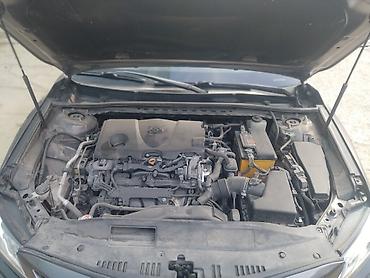 Детейлеры: Химчистка потолка автомобиля Профессиональная локальная и полная — 15