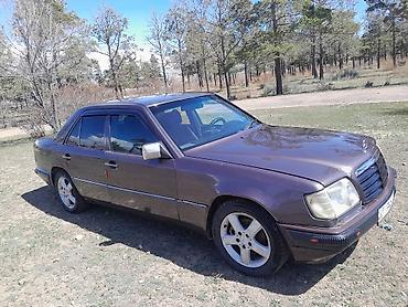 Mercedes-Benz: Mercedes-Benz E-Class: 1994 г., 2.2 л, Ручные, Бензин, Седан — 4