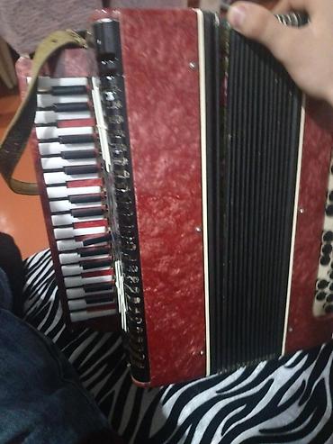 2 ci sinif defteri: Akustik Akkordeon, İşlənmiş, Ödənişli çatdırılma — 1