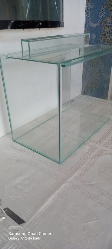 Akvariumlar: Salam isdənilən ölçüdə akvarium və terarium hazırlayıram aqama su — 21