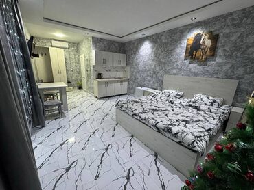 Günlük kirayə evlər: 40 kv. m, 1 otaqlı, Kombi, İşıq, Kanalizasiya — 4