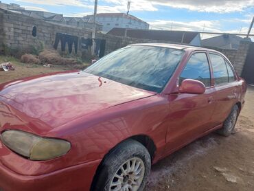 hunday salaris: Hyundai Accent: 1.3 l | 1995 il