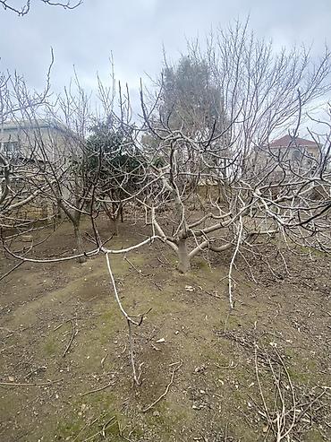 Torpaq sahələrinin satışı: Tikinti — 9