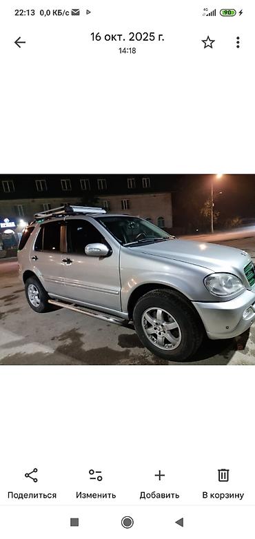 Mercedes-Benz: Mercedes-Benz M-Class: 2003 г., 4 л, Автомат, Дизель, Внедорожник — 9