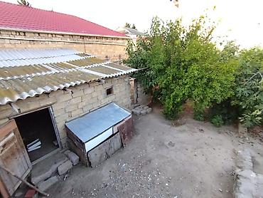 razinde evler: 6 otaqlı, 150 kv. m, Kredit yoxdur, Orta təmir — 1