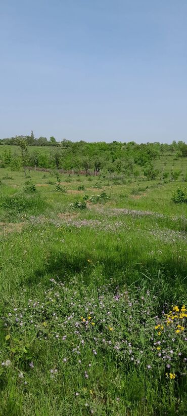 xacmazda tecili satilan evler: 28 соток, Для бизнеса, Собственник, Купчая