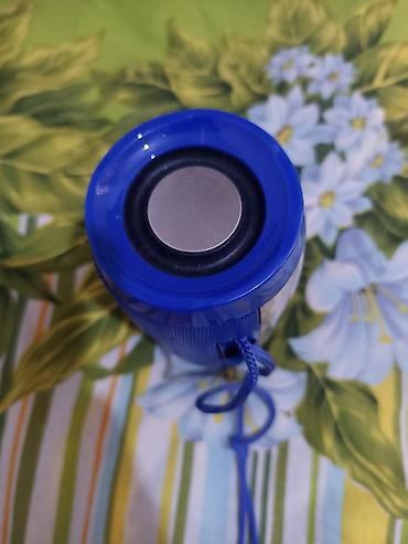 Динамики и колонки: Компактная беспроводная колонка T&G в синем корпусе. Оснащена — 8