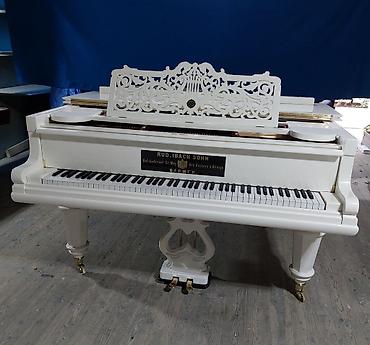 Royal, Akustik, Yeni, Pulsuz çatdırılma — 2