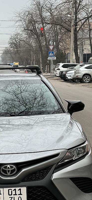 нексия зеркала: Декоративные накладки На зеркала, Пластик, Toyota, 2020 г., Новый, Бесплатная доставка — 2
