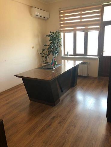 Mənzillər: 4 otaqlı, Yeni tikili, m. Gənclik, 203 kv. m — 7