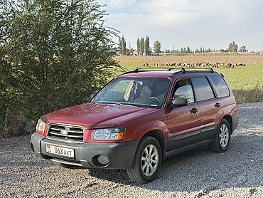 капот на субару форестер: Subaru Forester: 2002 г., 2.5 л, Автомат, Бензин, Кроссовер — 2