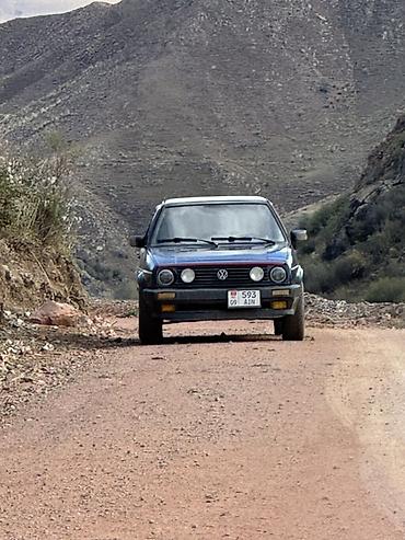 Volkswagen: Volkswagen Golf: 1989 г., 1.8 л, Механика, Бензин, Хэтчбэк — 8