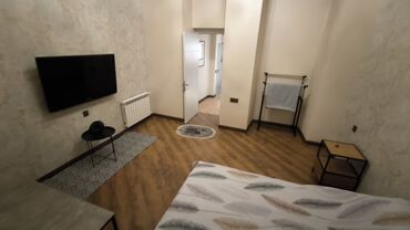 Günlük kirayə mənzillər: 3 otaqlı, Nəsimi r. r-nu — 15