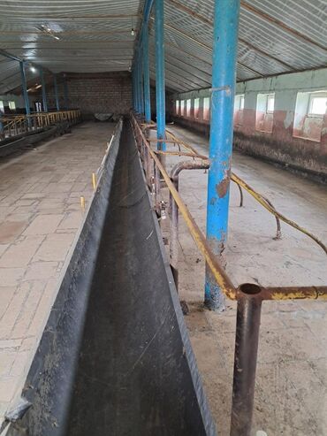 Torpaq sahələrinin satışı: Kənd təsərrüfatı -da lalafo.az — 18 Torpaq sahələrinin satışı: Kənd təsərrüfatı — 18