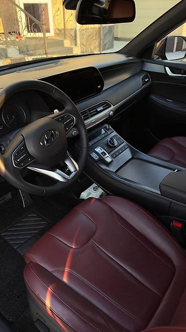 palisade: Hyundai Palisade: 2019 г., Автомат, Дизель, Кроссовер — 10