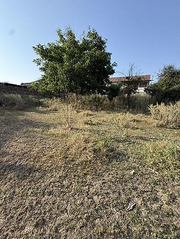Torpaq sahələrinin satışı: 23 sot, Tikinti, Mülkiyyətçi, Kupça (Çıxarış) — 11