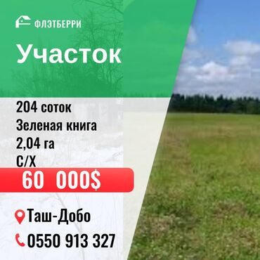 батир ак ордо: 204 соток