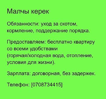Мал бакканга Адам керек
Адрес село Сокулук ул советская at lalafo.kg Мал бакканга Адам керек
Адрес село Сокулук ул советская