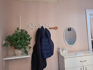 sobe za izdavanje zemun: Za ljubitelje Zemuna, sjajna ponuda. Prodaje se stan na 1. spratu,u — 6