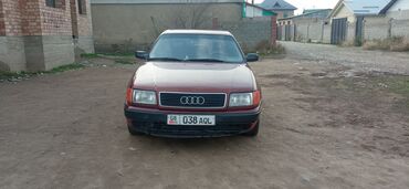 грузак 100: Audi 100: 1991 г., 2.3 л, Механика, Бензин, Седан