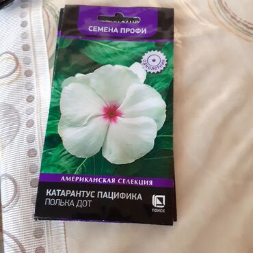 Другие книги и журналы: Продается семена дельфиниумов и катарантусов — 21