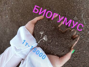 офисный кресла: Жер семирткич Гумус, Өзү алып кетүү