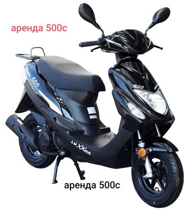 скутеры в аренду: Сдаю в аренду: Скутер