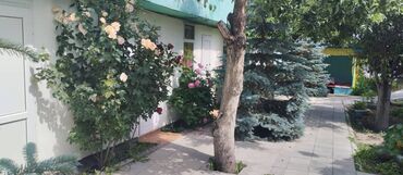 Продажа домов: Коттедж, 1 м², 2 комнаты, Собственник, Косметический ремонт — 10