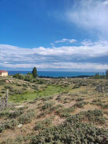 дома село кок жар: 5 соток, Курулуш, Кызыл китеп, Сатып алуу-сатуу келишими