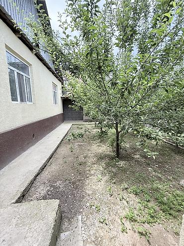 Продажа коттеджей и домов: 🏡 Продаётся уютный дом в районе Ак-Ордо-2 📍 Адрес: ул. Жаны Муун, 8 🔹 — 4