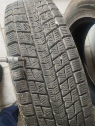 шины бу бишкек оптом: Шины at lalafo.kg шины бу бишкек оптом: Шины