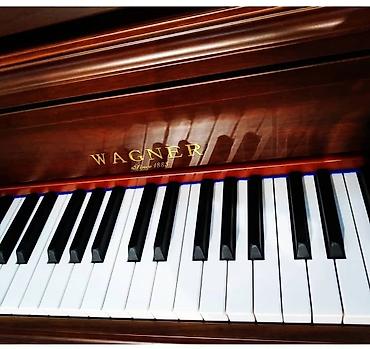 Musiqi alətləri: Пианино, Рояль., Электропианино Бесплатная доставка и установка 2 года — 2