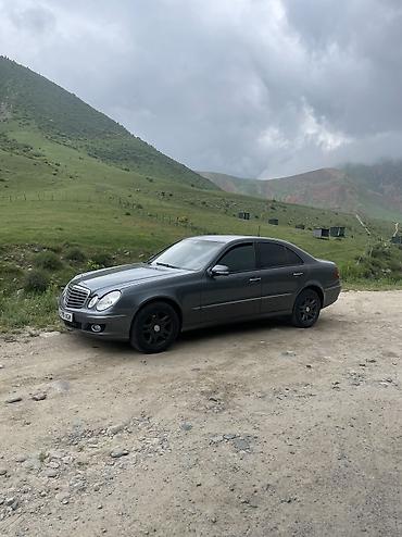 команд w220: Mercedes-Benz E-Class: 2008 г., 3 л, Автомат, Дизель, Седан — 5