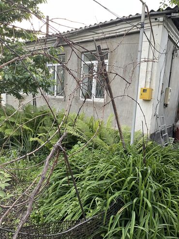 киргизия недвижимость: 70 кв. м, 5 бөлмө, Жаңы ремонт Ашкана эмереги