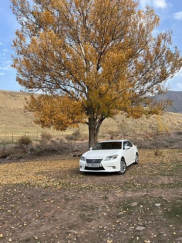 Lexus: Lexus ES: 2015 г., 2.5 л, Вариатор, Гибрид, Седан at lalafo.kg — 11 Lexus: Lexus ES: 2015 г., 2.5 л, Вариатор, Гибрид, Седан — 11