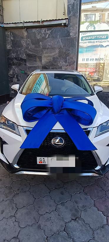 Организация мероприятий: Организация мероприятий | Оформление мероприятий — 8