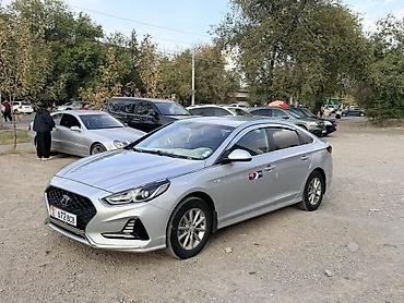 Hyundai Sonata: 2020 г., 2 л, Автомат, Газ, Седан