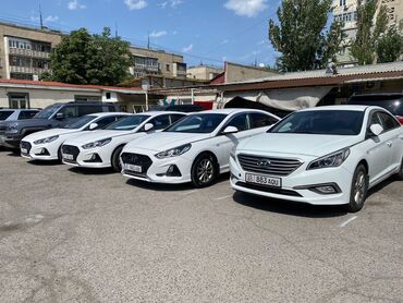 хундай гранде: Hyundai Sonata: 2017 г., 2 л, Автомат, Газ, Седан