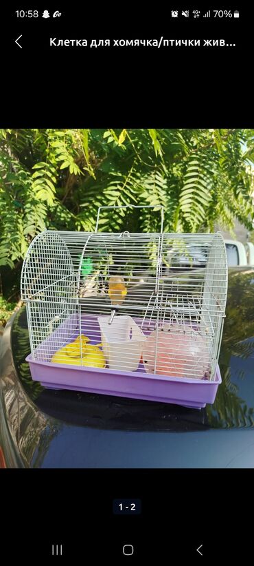 купить ежика бишкек: Продаю клетки для хомячков от 500 до 1200 сом. выбор есть
