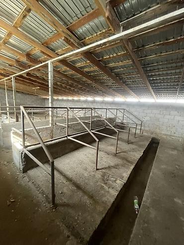 Продажа коттеджей и домов: Продаётся жилой дом с участком. Сарай для скота, подвал,участок 10 — 14