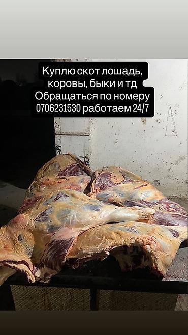 комбикорм для бройлера: Колбасный цех : Коровы, быки, | Круглосуточно — 1