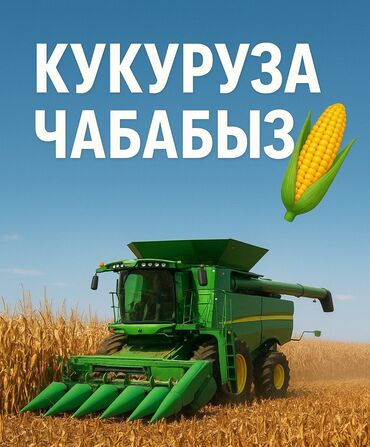 разбор дордой: Услуга по уборке кукурузы комбайном Подготовим технику к выходу в