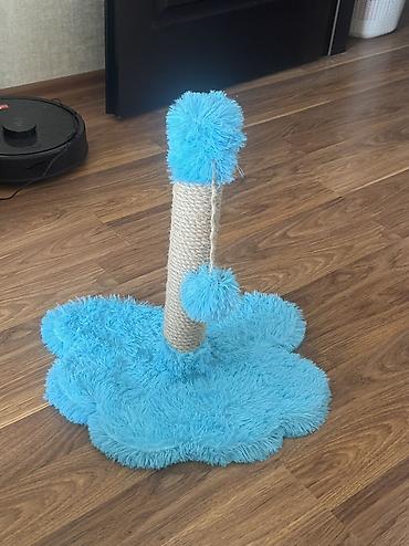 pişik şekli cekmek: Игрушка для кошек новая — 2