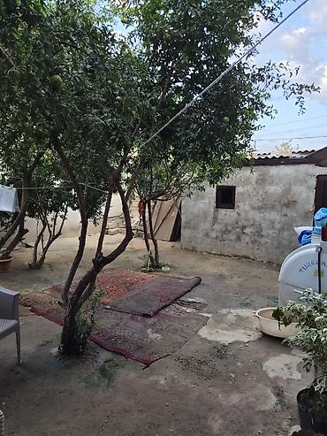 ev və bağ: Sabunçu qəs. 3 otaqlı, 1 kv. m, Kredit yoxdur, Orta təmir — 5