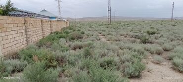 xacmaz rayonu seyidli kəndində torpaq sahəsi satılır: 3 sot, Tikinti, Mülkiyyətçi, Bələdiyyə