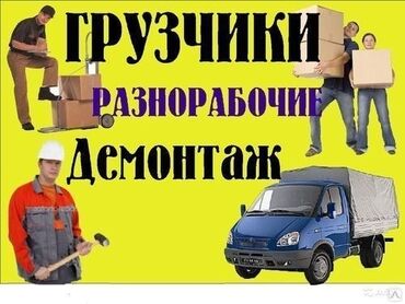 орбизные офтоматы: Грузчики грузчики грузчики грузчики Грузчики грузчики грузчики